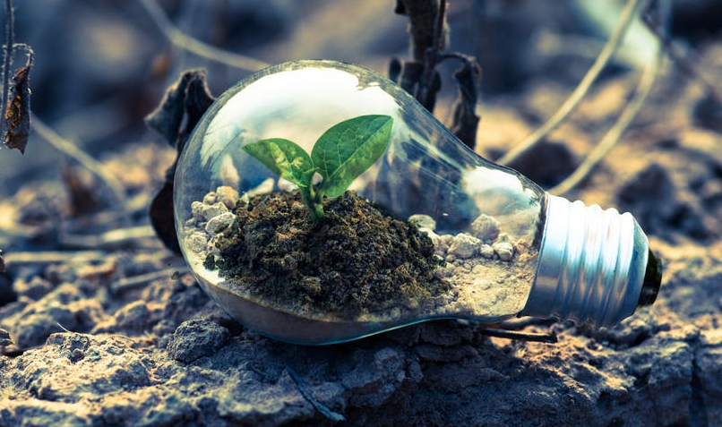 Sustentabilidade, Responsabilidade Social e Direitos Humanos
